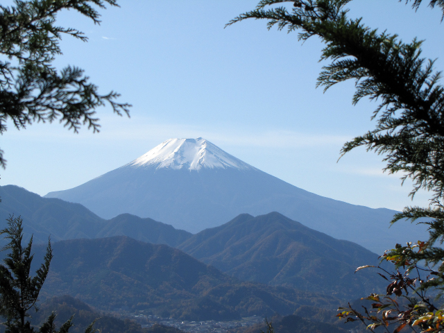 樹々の合間から富士山