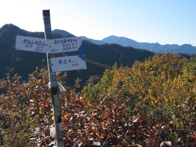 菊花山頂上
