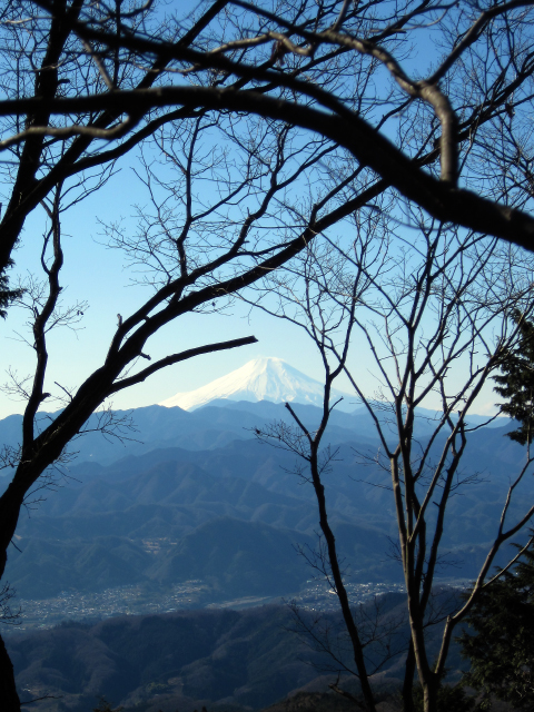 樹々のあいだから富士山