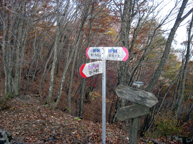 ヤグラ跡近くの分岐