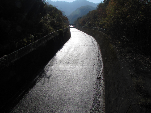 光る川