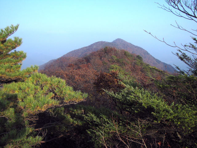 正面に鶴ヶ鳥屋山を見ながら