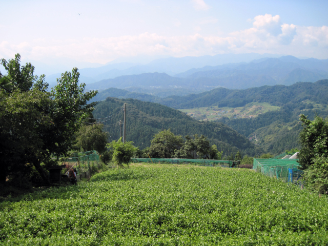途中で振り返って撮った一枚。登山口へ続く道は、山の斜面に沿う畑の中に作られています。畑の向こうには、近い山々、さらに向こうには、遠い山並みが見える、雄大な風景