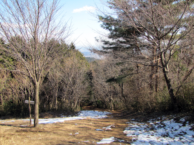 雪が所々に残る登山道。でも陽射しがあって凍ってはいません。