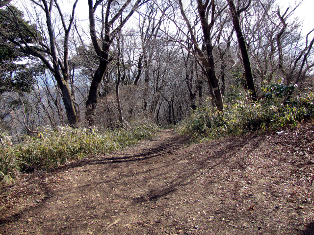 雪のない冬の山道。