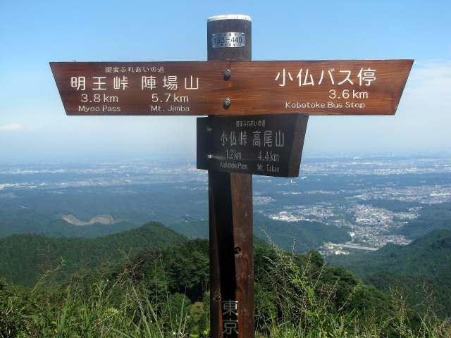指導票