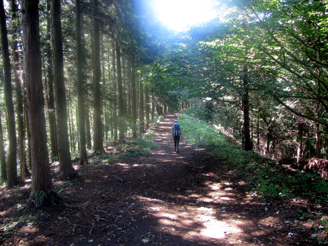 景信山から