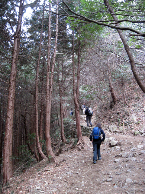だんだん登りがキツくなってきます。