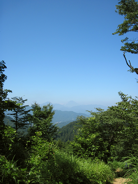 ぽっかりと開いた場所から、うっすらと見える青い富士山。