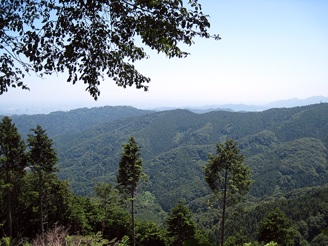 景信山からのパノラマ。キラキラしている遠くの白い街並みと、濃緑から青へとグラデーションの山波がすーっと広がっています。
